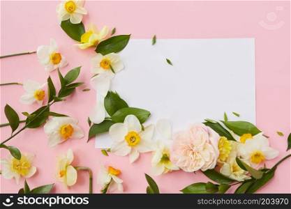 Postcard decorated with narcissus flowers and leaves on a pink background. Flat lay. Postcard decorated flowers