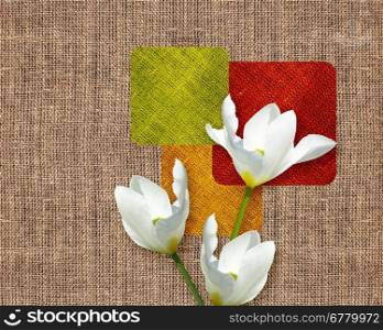 Postcard, Flowers on sacking cloth background.