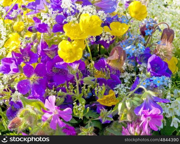 posy of flowers. flowers