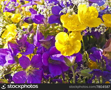 posy of flowers. flowers