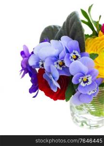 Posy of fresh pansies, daisies and ranunculus close up isolated on white background. Posy of violets, pansies and ranunculus