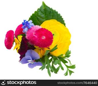 Posy of pansies, daisies and ranunculus isolated on white background. Posy of violets, pansies and ranunculus