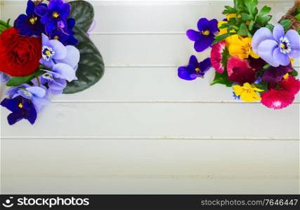Posy of violets, pansies, daisies and ranunculus on white wooden background with copy space. Posy of violets, pansies and ranunculus