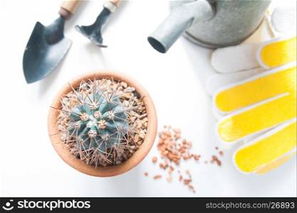Pot of cactus and garden tools isolated on white background