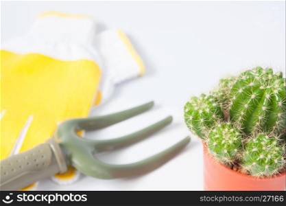 Pot of cactus and garden tools isolated on white background