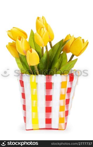 Pot of colorful tulips isolated on white
