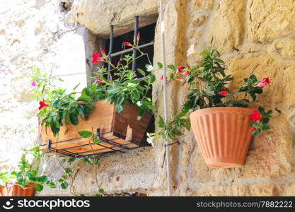 Pot of flowers adorn the walls of the house