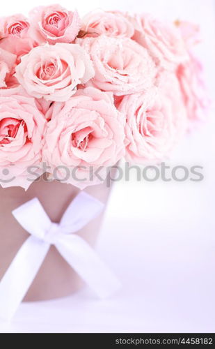 Pot of pink fresh wet roses isolated on white background