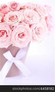 Pot of pink fresh wet roses isolated on white background