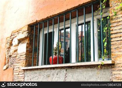 Pot with a flower on the window behind bars