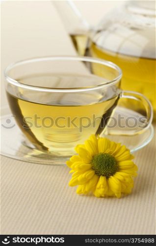 Pot with Chinese Chrysanthemum tea