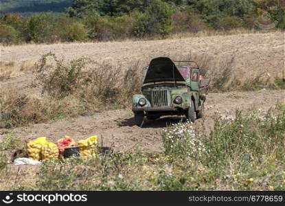 Potato field in the mountain with freshly dug potatoes and old military vintage vehicle
