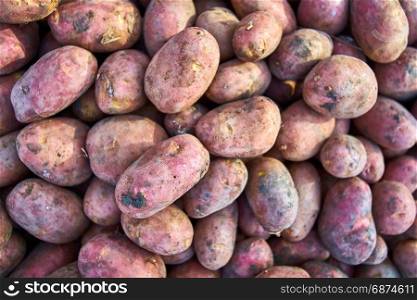 potato. Group of potatoes at the market