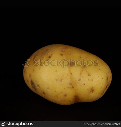 potato isolated on black