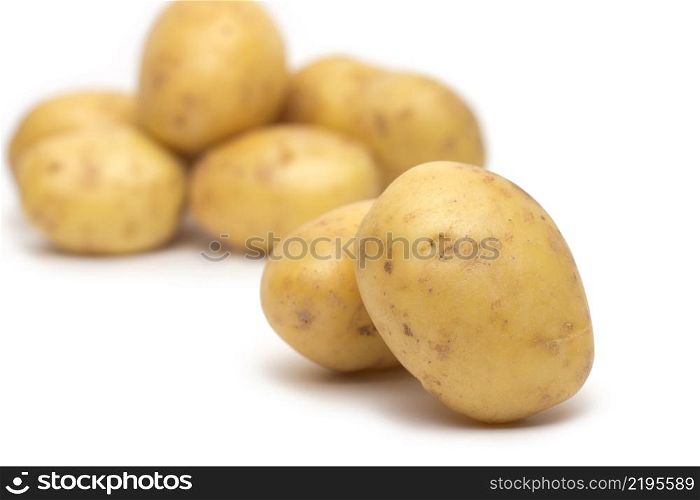potato isolated on white background close up. potato