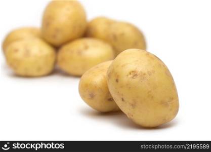 potato isolated on white background close up. potato