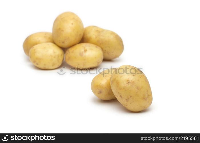 potato isolated on white background close up. potato isolated