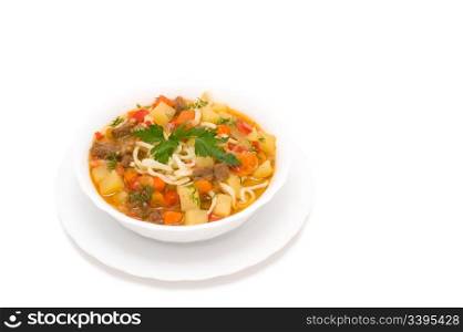 potato soup with pieces of meat, noodles and vegetables