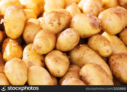 potatoes at the market for sale