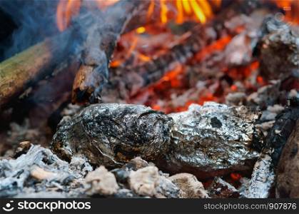 potatoes baked on the fire, vegetables in foil in the fire. zegetables in foil in the fire, potatoes baked on the fire