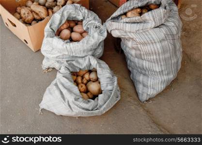 Potatoes in burlap sack on asphalt background.