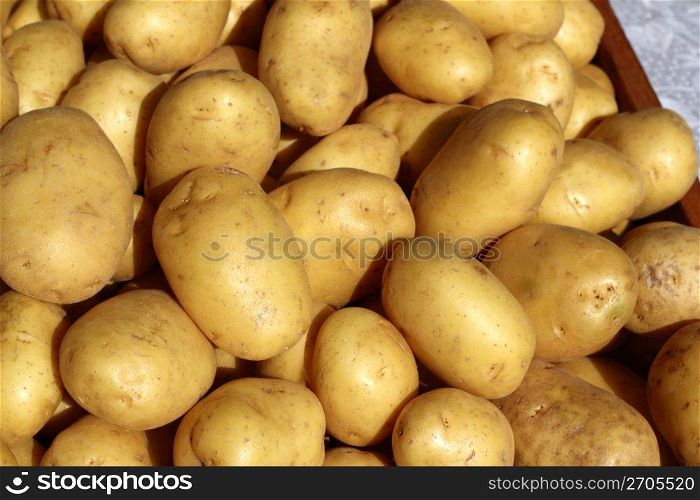 potatoes many in market stand yellow brown