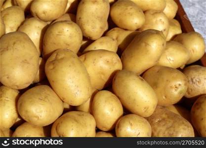potatoes many in market stand yellow brown