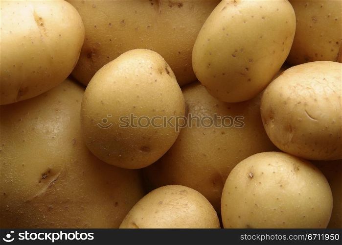 Potatoes new