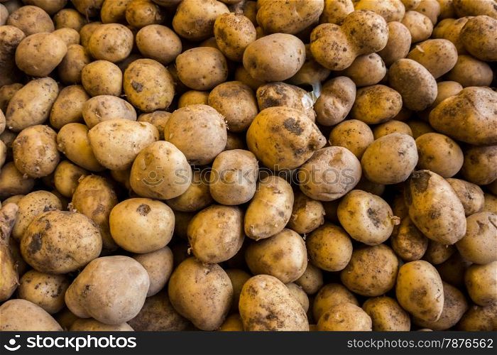 potatoes on a market. Fresh organic young potatoes