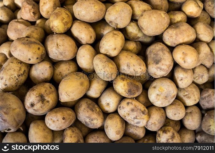 potatoes on a market. Fresh organic young potatoes