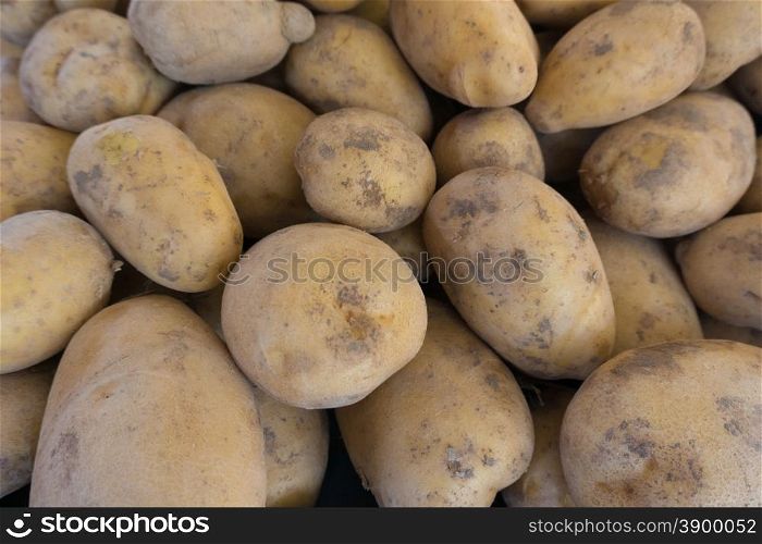 potatoes raw vegetables food. Fresh organic young potatoes