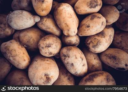 potatoes raw vegetables food. Fresh organic young potatoes
