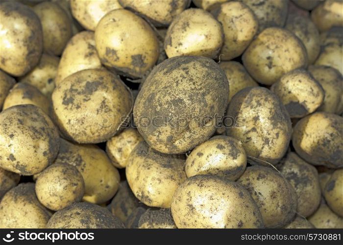 potatoes raw vegetables food on a background