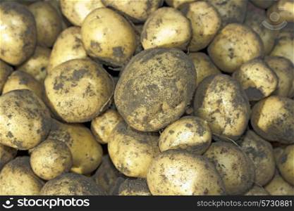 potatoes raw vegetables food on a background