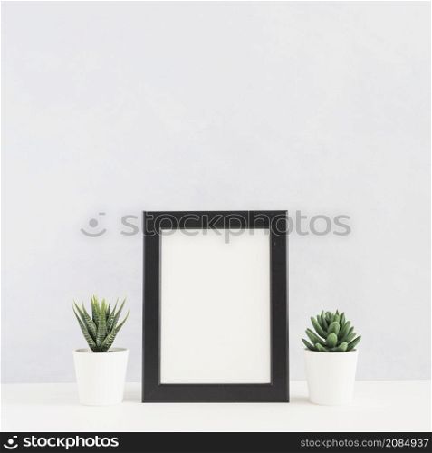 potted cactus plant picture frame desk against white background