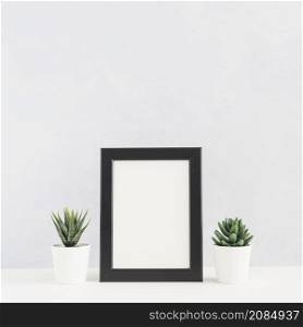 potted cactus plant picture frame desk against white background