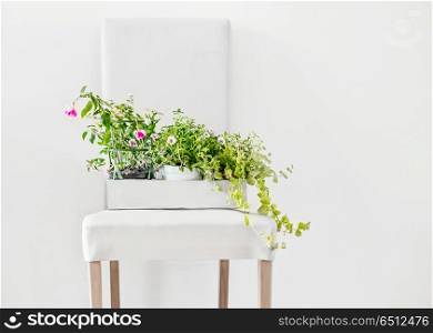 Potted flowers in paper box on white stool and copy space on the wall, front view. Home plants and gardening ideas