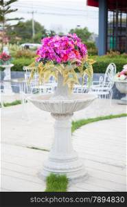 Potted flowers With trees and flowers in pots. Is placed in the garden to decorate the garden.