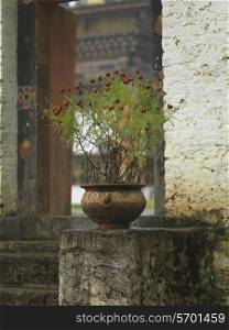 Potted plant at entrance gate of Punakha Monastery, Punakha, Bhutan