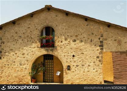 Potted plant on the window sill of a building, Piazza Roma, Monteriggioni, Siena Province, Tuscany, Italy