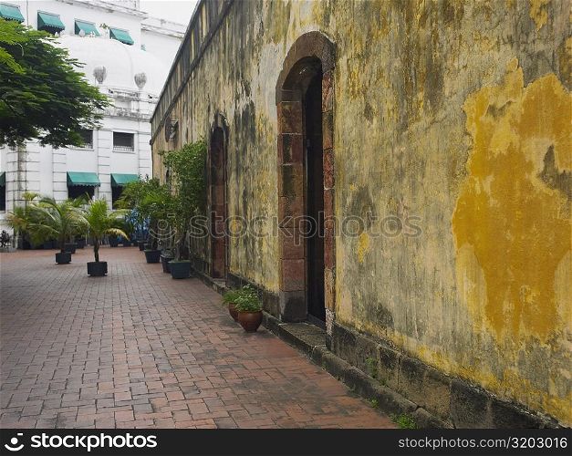 Potted plants against a wall, Old Panama, Panama City, Panama