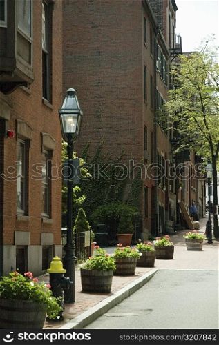 Potted plants in front of a building, Boston, Massachusetts, USA