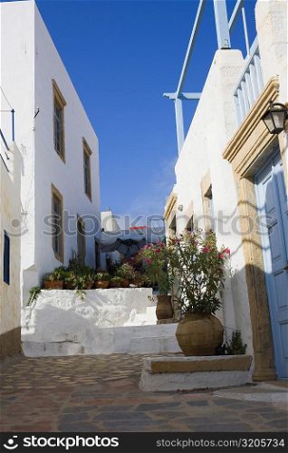 Potted plants in front of buildings, Patmos, Dodecanese Islands, Greece