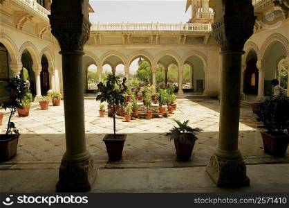 Potted plants in the courtyard of a museum, Government Central Museum, Jaipur, Rajasthan, India