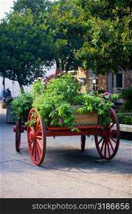 Potted plants on a cart, Savannah, Georgia, USA