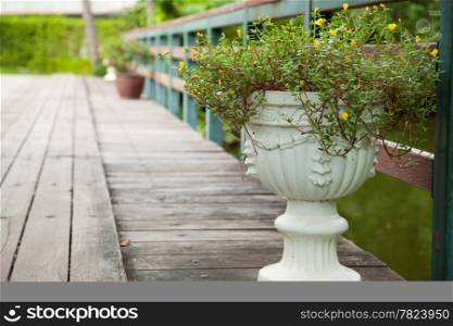 Potted plants on a wooden bridge. Decorate the tree at the head of the bridge. With yellow flowers.
