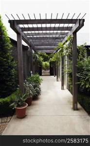Potted plants on the both sides of a corridor