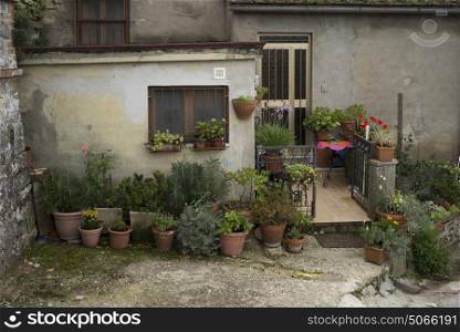 Potted plants outside a house, Chianti, Tuscany, Italy