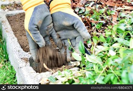 Pour the soil from two hands to the concrete flower box. The hands are in black orange rubber gloves. Spring work at garden with sowing the flowers.