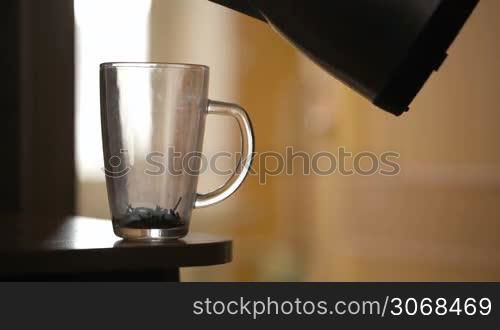 Pouring a mug of herbal tea with fresh leaves from the plant in a glass mug to make a healthy infusion